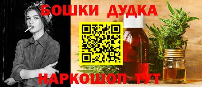 индика Краснознаменск